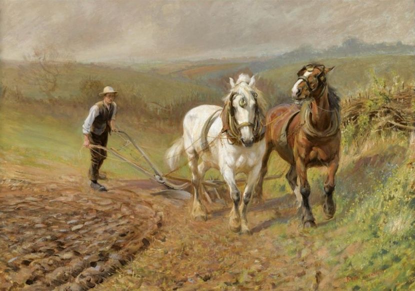 148 - Tablouri - viata la tara