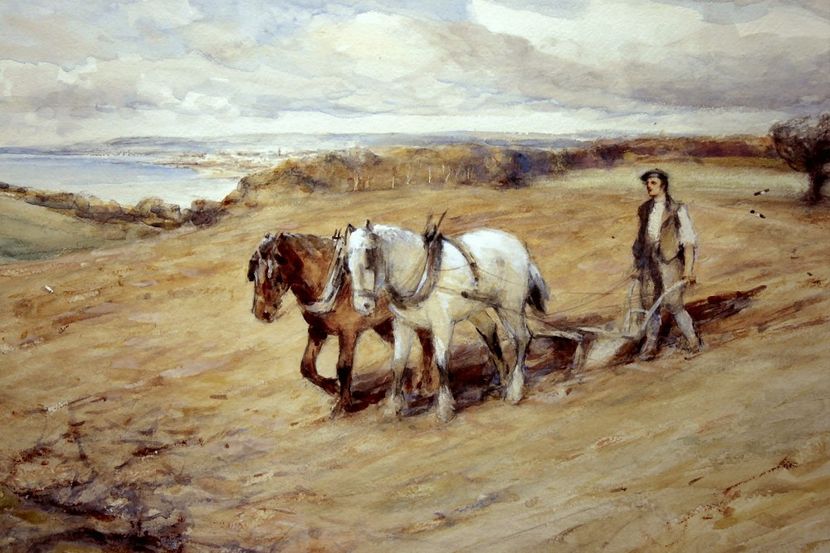 157 - Tablouri - viata la tara