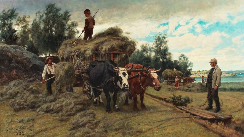 160 - Tablouri - viata la tara