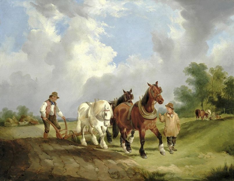 163 - Tablouri - viata la tara