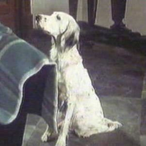 Elixirul Tineretii - Elixirul Tineretii 1975