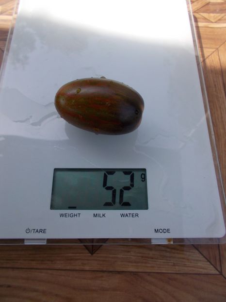  - SEMINTE ROSII - T 393 BRADD ATOMIC GRAPE