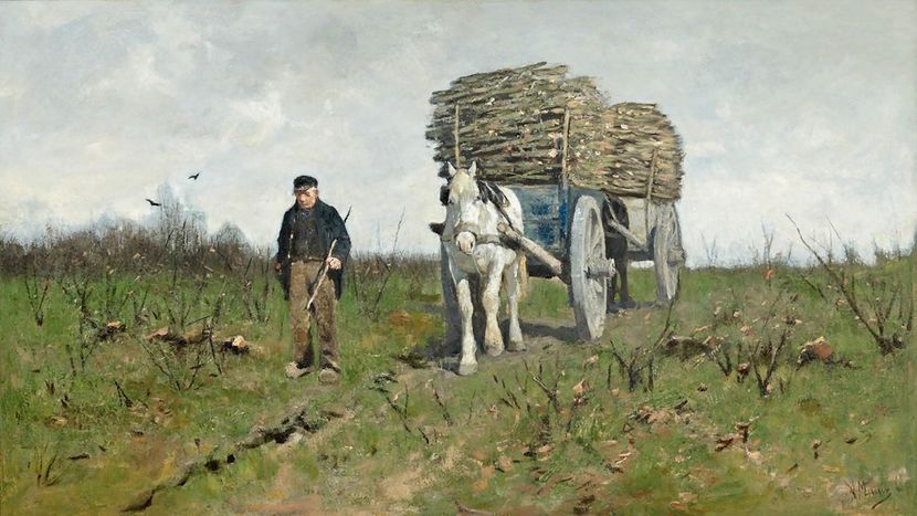 35 - Tablouri-viata la tara 2