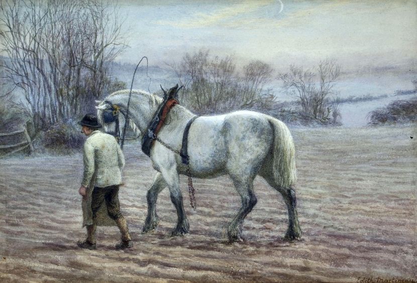 38 - Tablouri-viata la tara 2