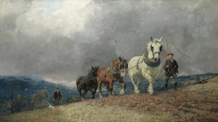 115 - Tablouri-viata la tara 2