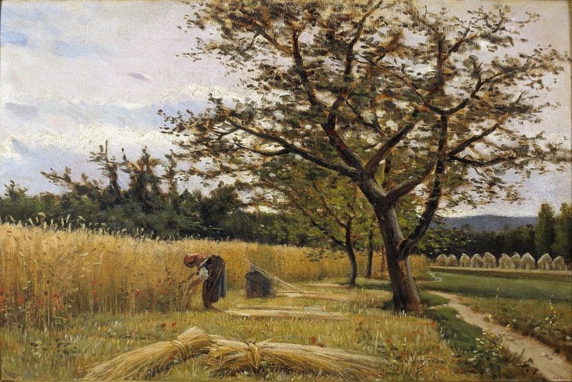 133 - Tablouri-viata la tara 2