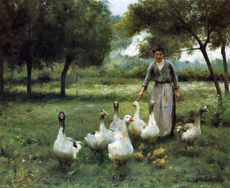 205 - Tablouri-viata la tara 2