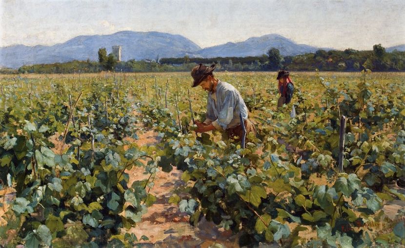 217 - Tablouri-viata la tara 2