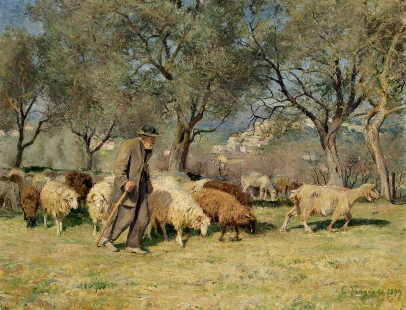 446 - Tablouri-viata la tara 2