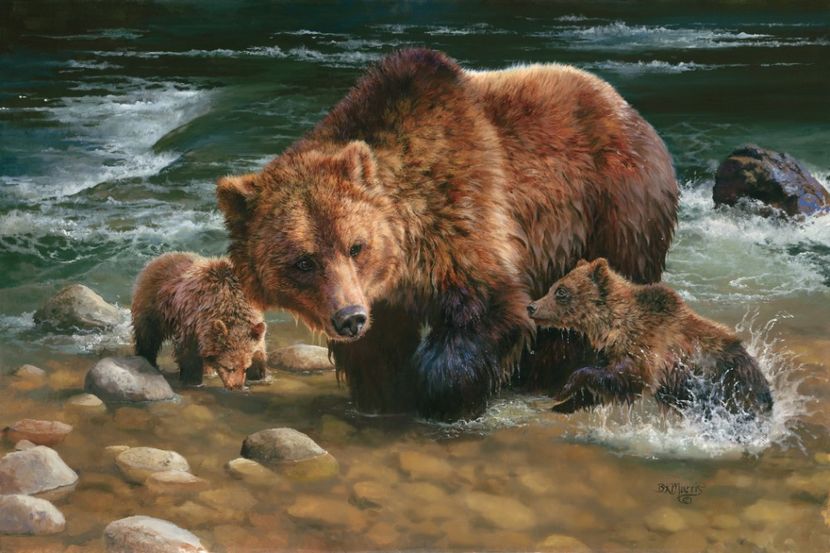 22 - Tablouri- animale