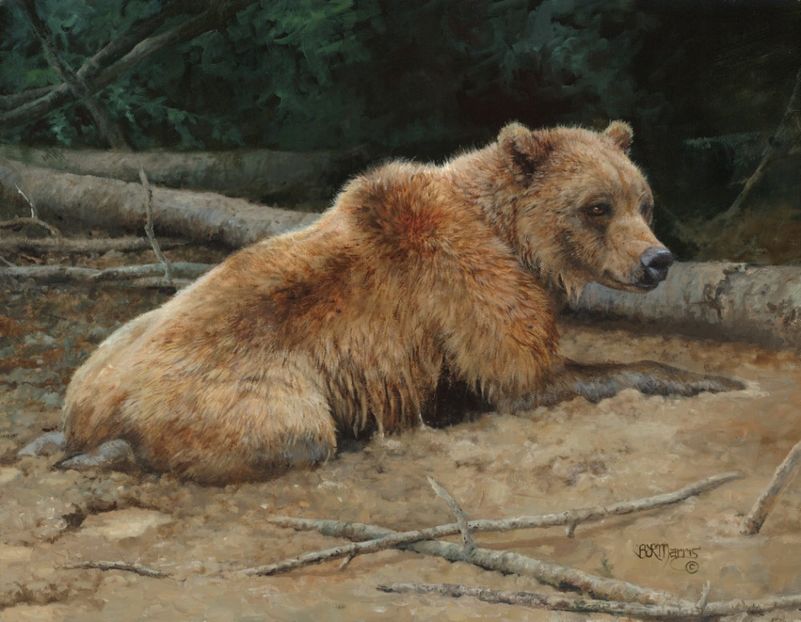 27 - Tablouri- animale