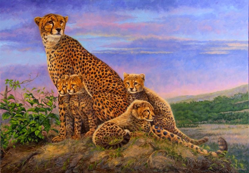 28 - Tablouri- animale
