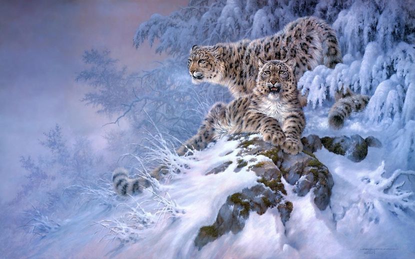39 - Tablouri- animale