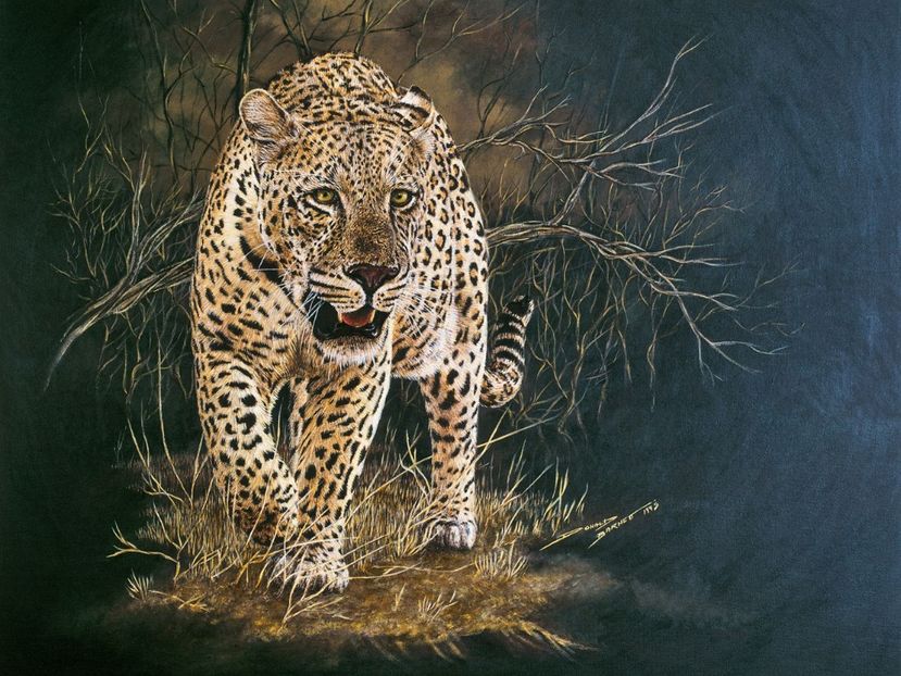 41 - Tablouri- animale