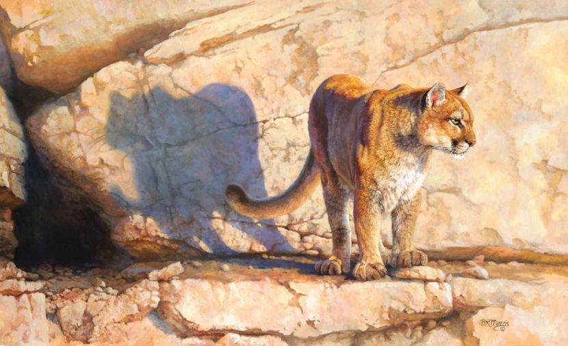 42 - Tablouri- animale