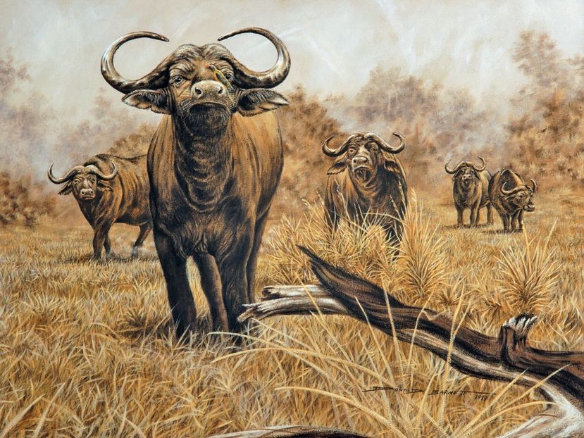 61 - Tablouri- animale