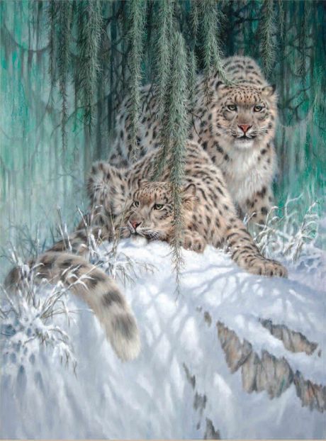 64 - Tablouri- animale