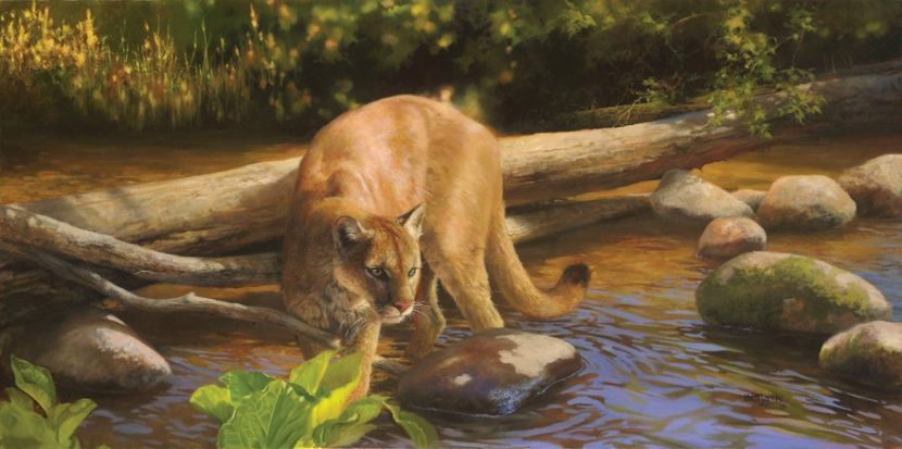 87 - Tablouri- animale