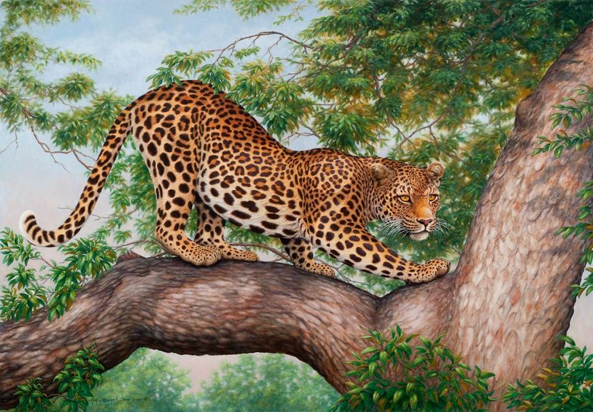 91 - Tablouri- animale