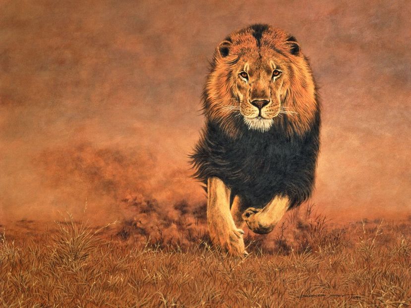 106 - Tablouri- animale