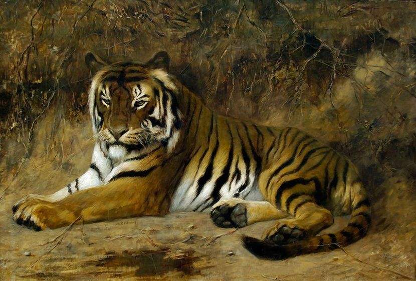 113 - Tablouri- animale