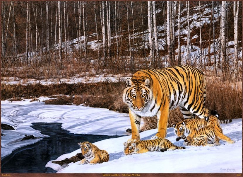 114 - Tablouri- animale