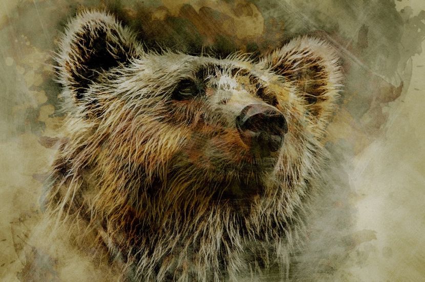 136 - Tablouri- animale