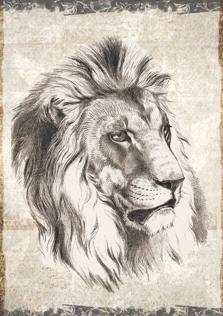 148 - Tablouri- animale