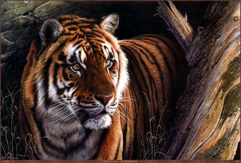 156 - Tablouri- animale