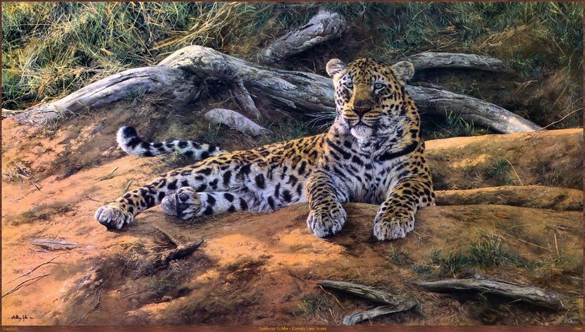 171 - Tablouri- animale