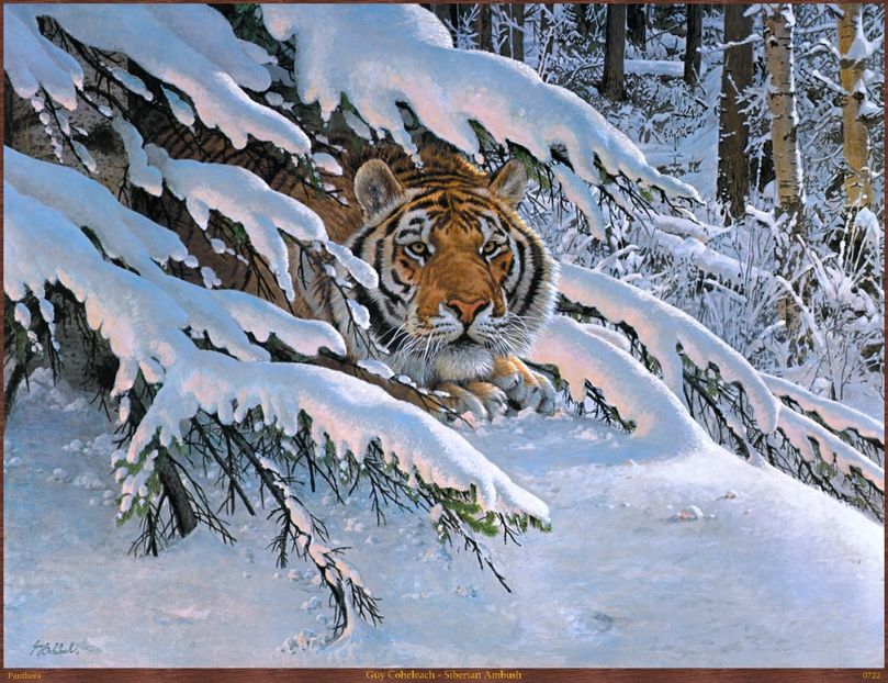 174 - Tablouri- animale