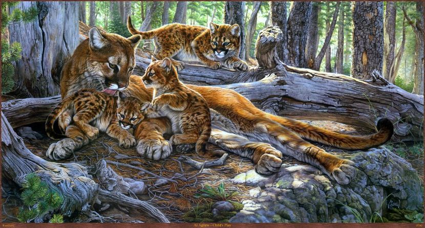 179 - Tablouri- animale