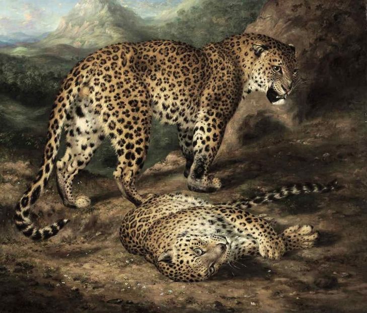 185 - Tablouri- animale
