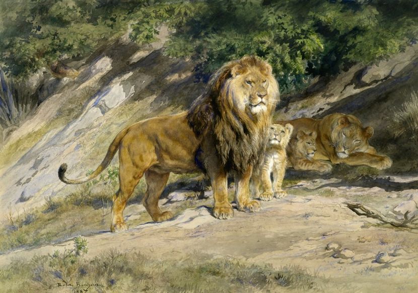 191 - Tablouri- animale