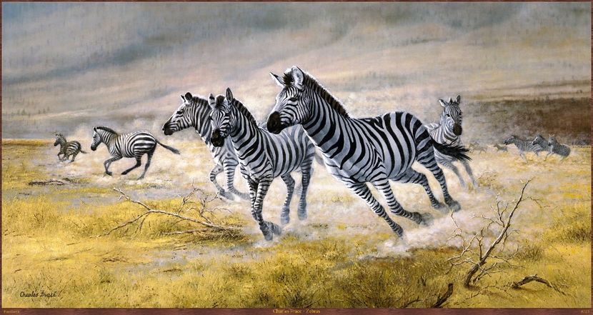 194 - Tablouri- animale