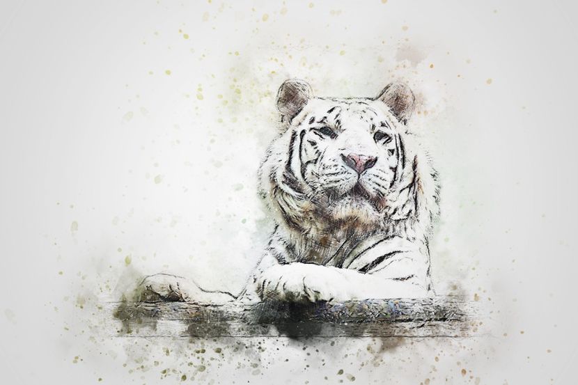 203 - Tablouri- animale