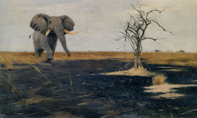 221 - Tablouri- animale