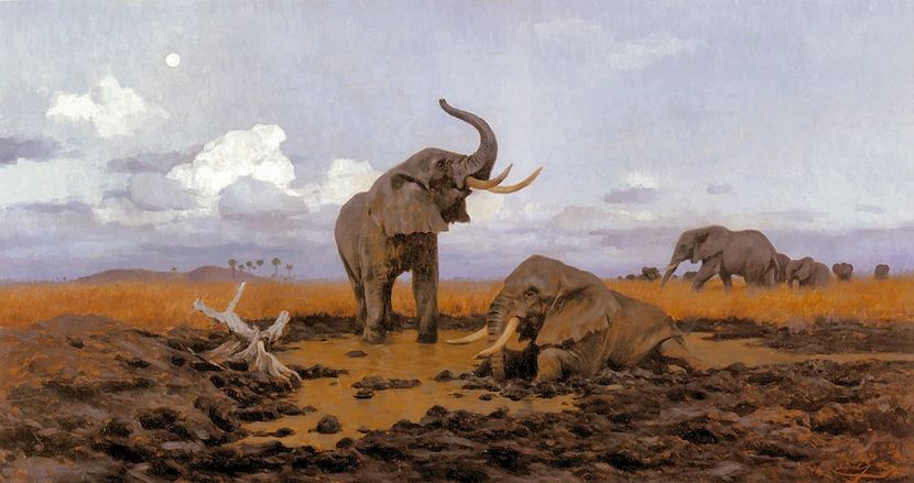 239 - Tablouri- animale