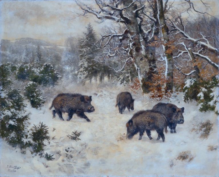 243 - Tablouri- animale
