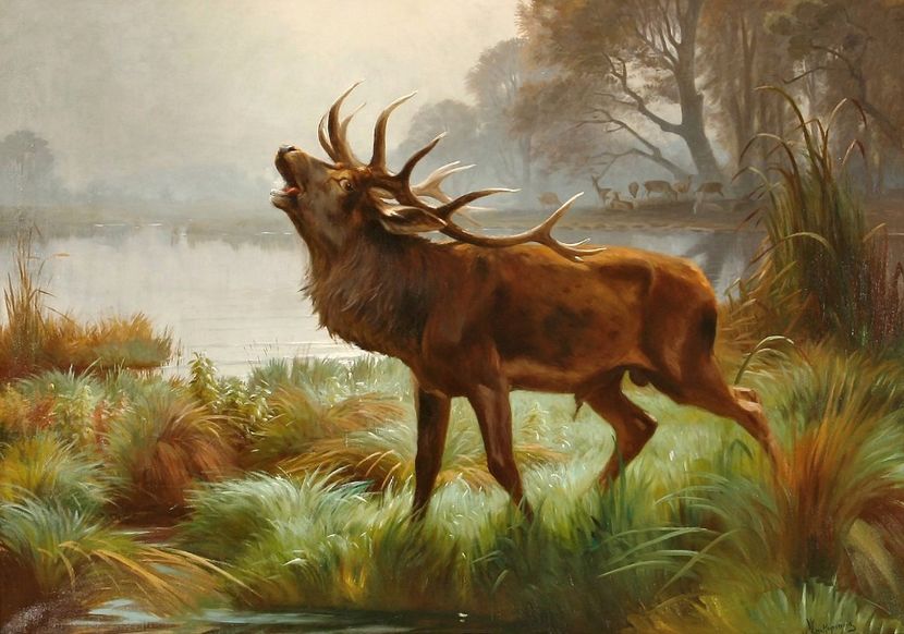 254 - Tablouri- animale