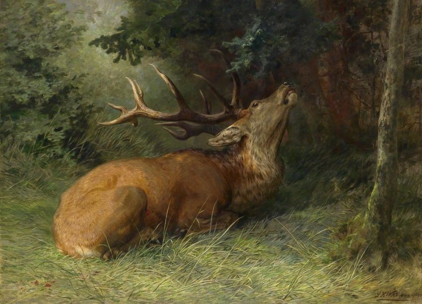 261 - Tablouri- animale