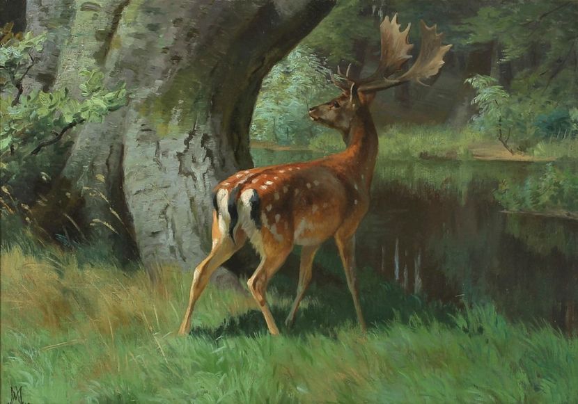 284 - Tablouri- animale
