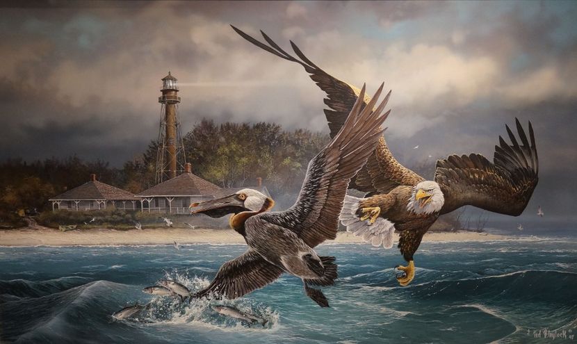 63 - Tablouri- pasari