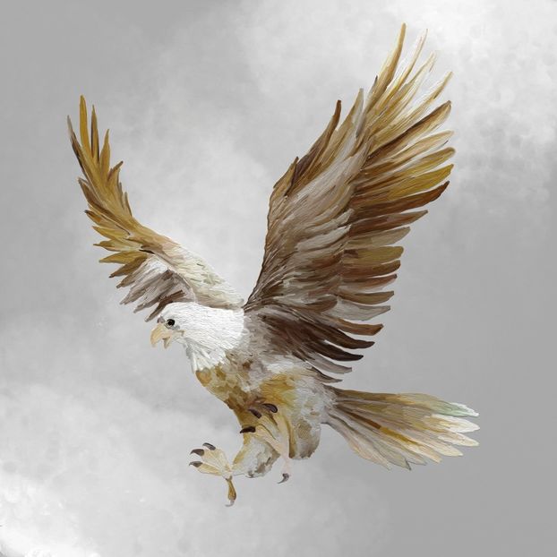 67 - Tablouri- pasari