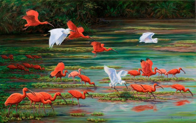 69 - Tablouri- pasari