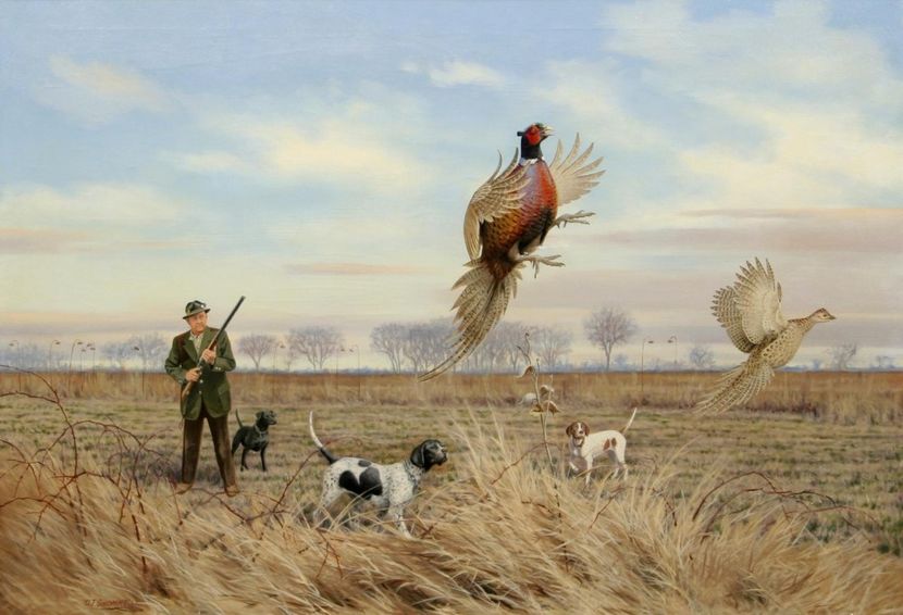 70 - Tablouri- pasari