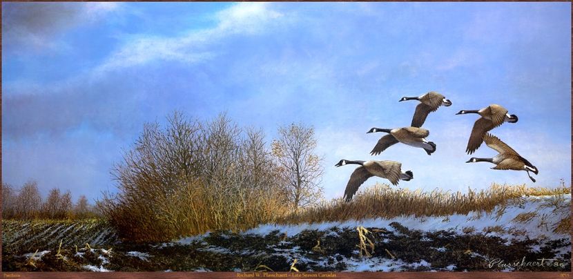 73 - Tablouri- pasari