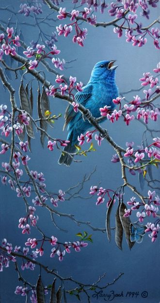 74 - Tablouri- pasari