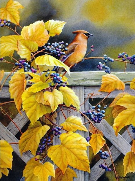 78 - Tablouri- pasari