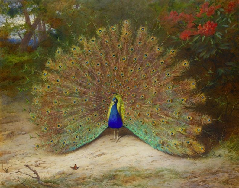 93 - Tablouri- pasari